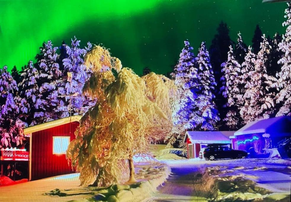 Lakeside Wilderness Cabin Jokkmokk község Kültér fotó