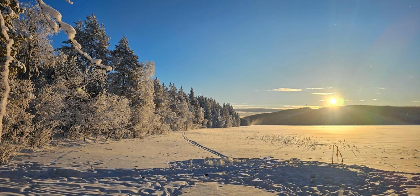Lakeside Wilderness Cabin Jokkmokk község Kültér fotó