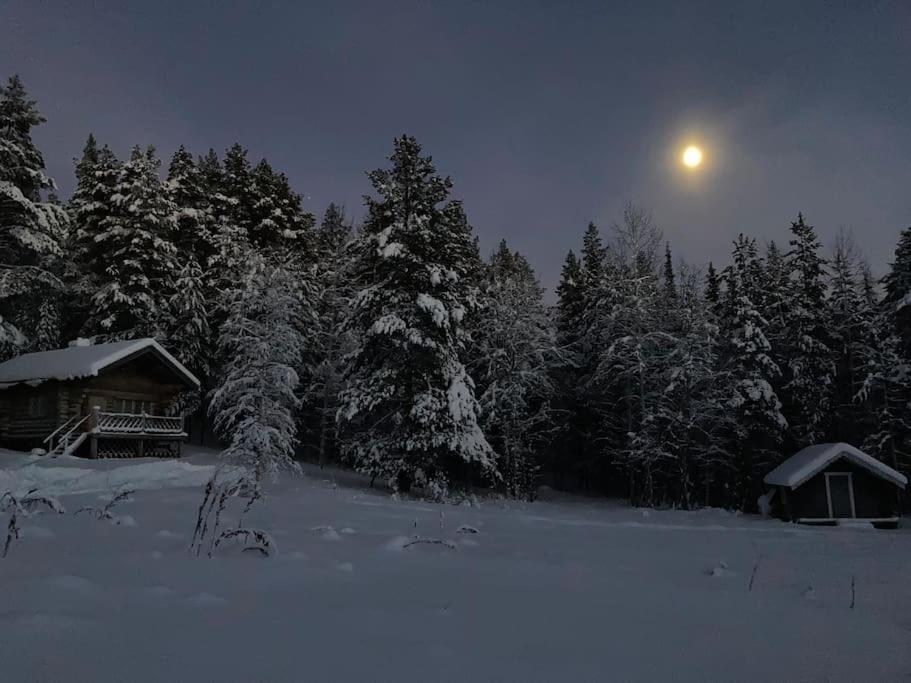 Lakeside Wilderness Cabin Jokkmokk község Kültér fotó