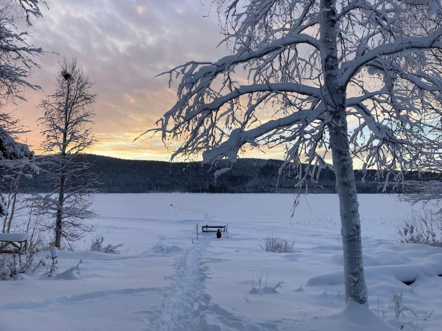 Lakeside Wilderness Cabin Jokkmokk község Kültér fotó