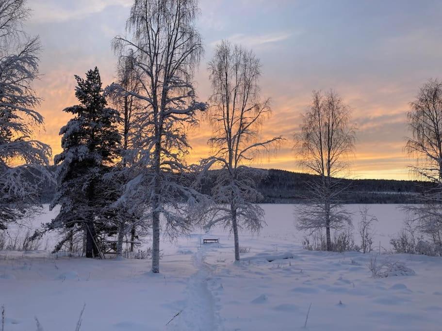 Lakeside Wilderness Cabin Jokkmokk község Kültér fotó