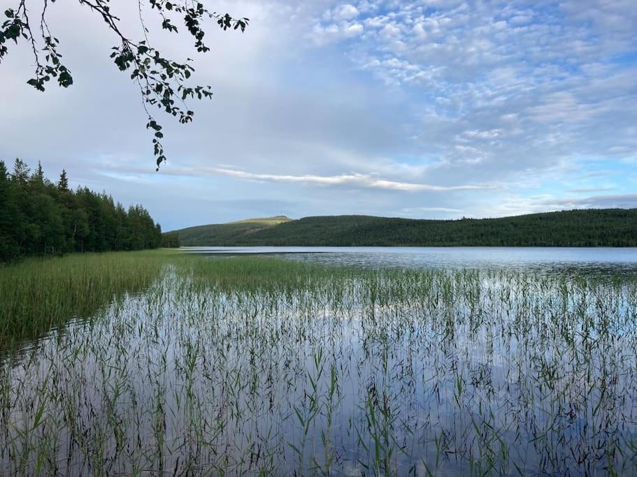 Lakeside Wilderness Cabin Jokkmokk község Kültér fotó