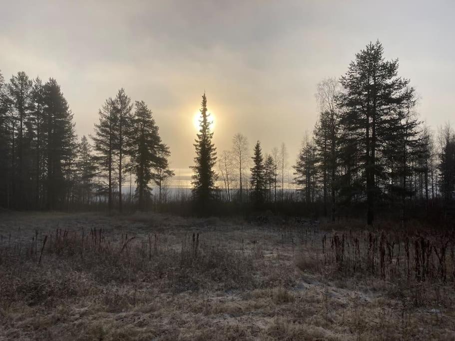 Lakeside Wilderness Cabin Jokkmokk község Kültér fotó