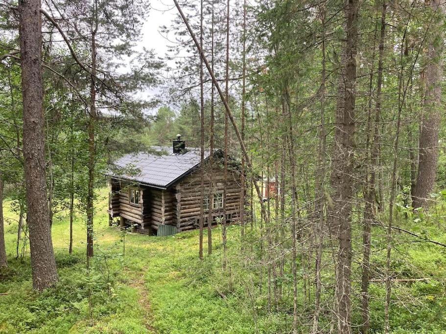 Lakeside Wilderness Cabin Jokkmokk község Kültér fotó